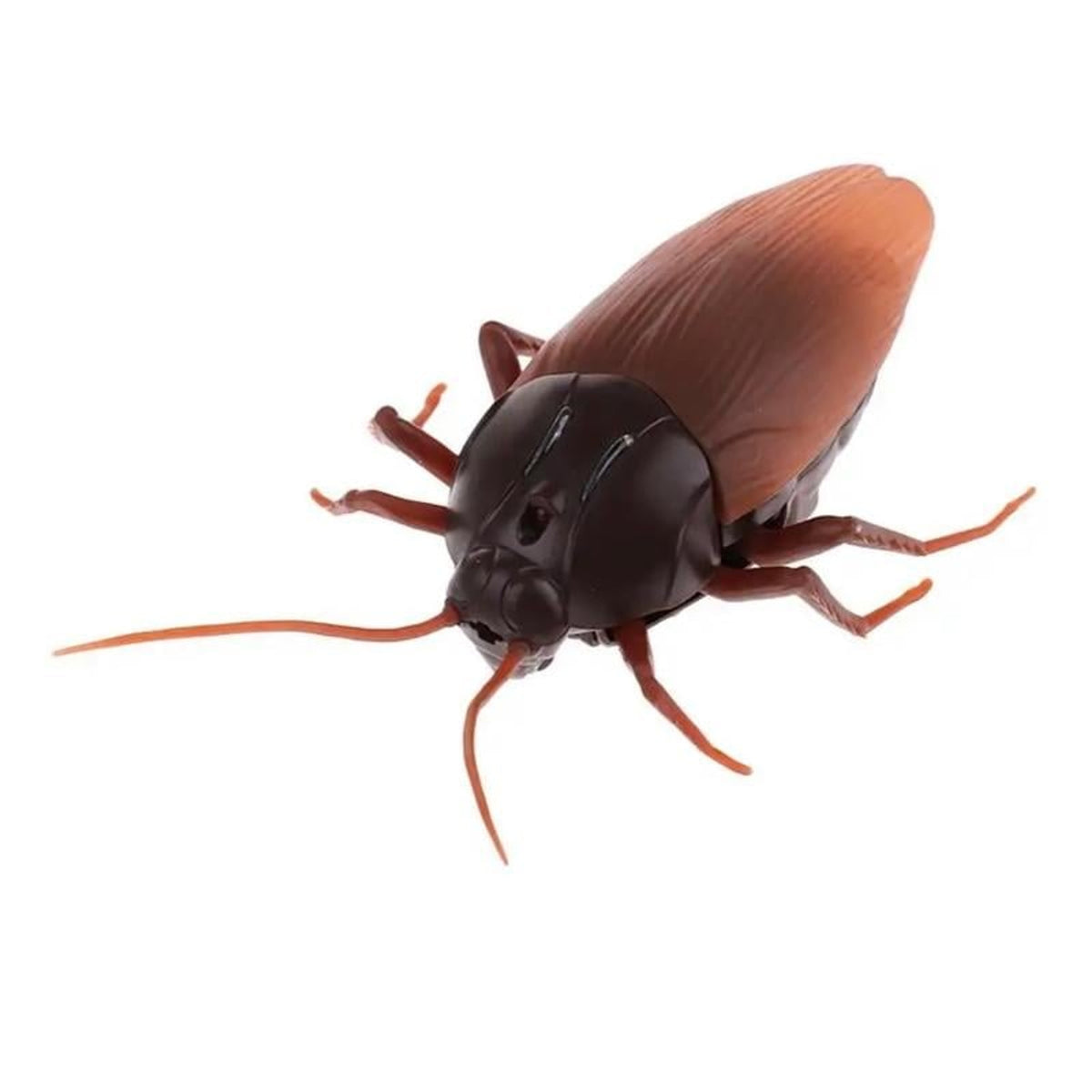 Halloween Remote Control Insect Toy With Glowing Red Eyes And Realistic Crawl - Image 3