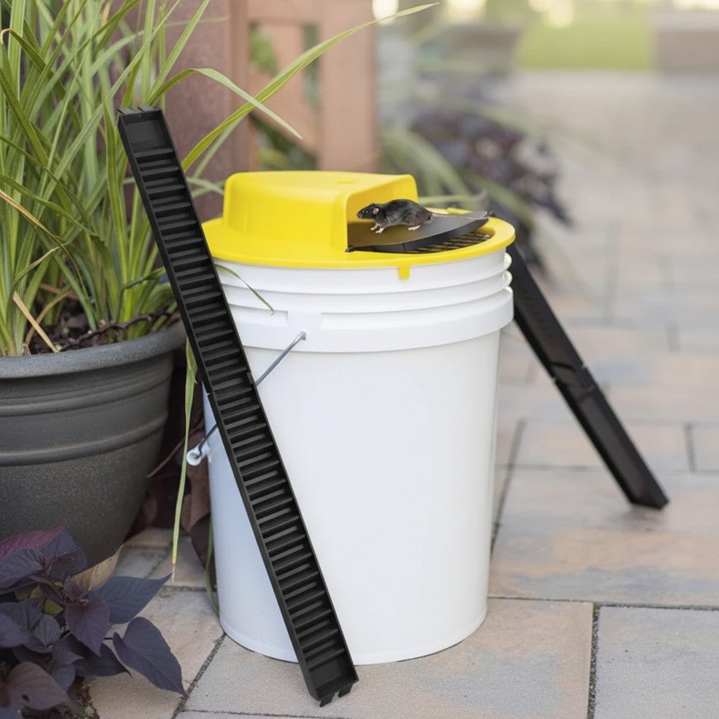 bucket mouse trap lid in use, lifestyle scene