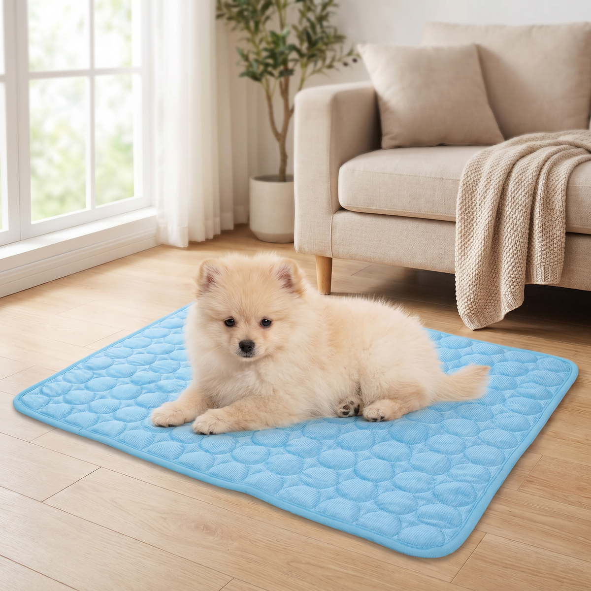 Cool comfort built for small dogs and puppies