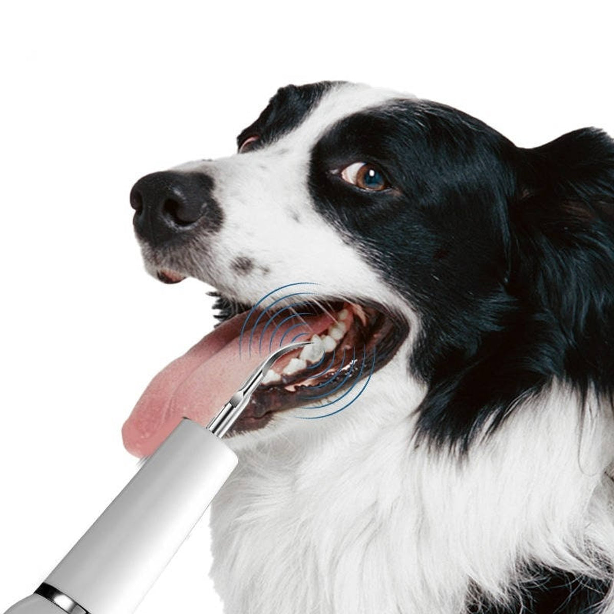 Dog Dental Cleaner With Ultrasonic Vibrations Built-In Light And 10-Minute Auto Shutoff - Image 2