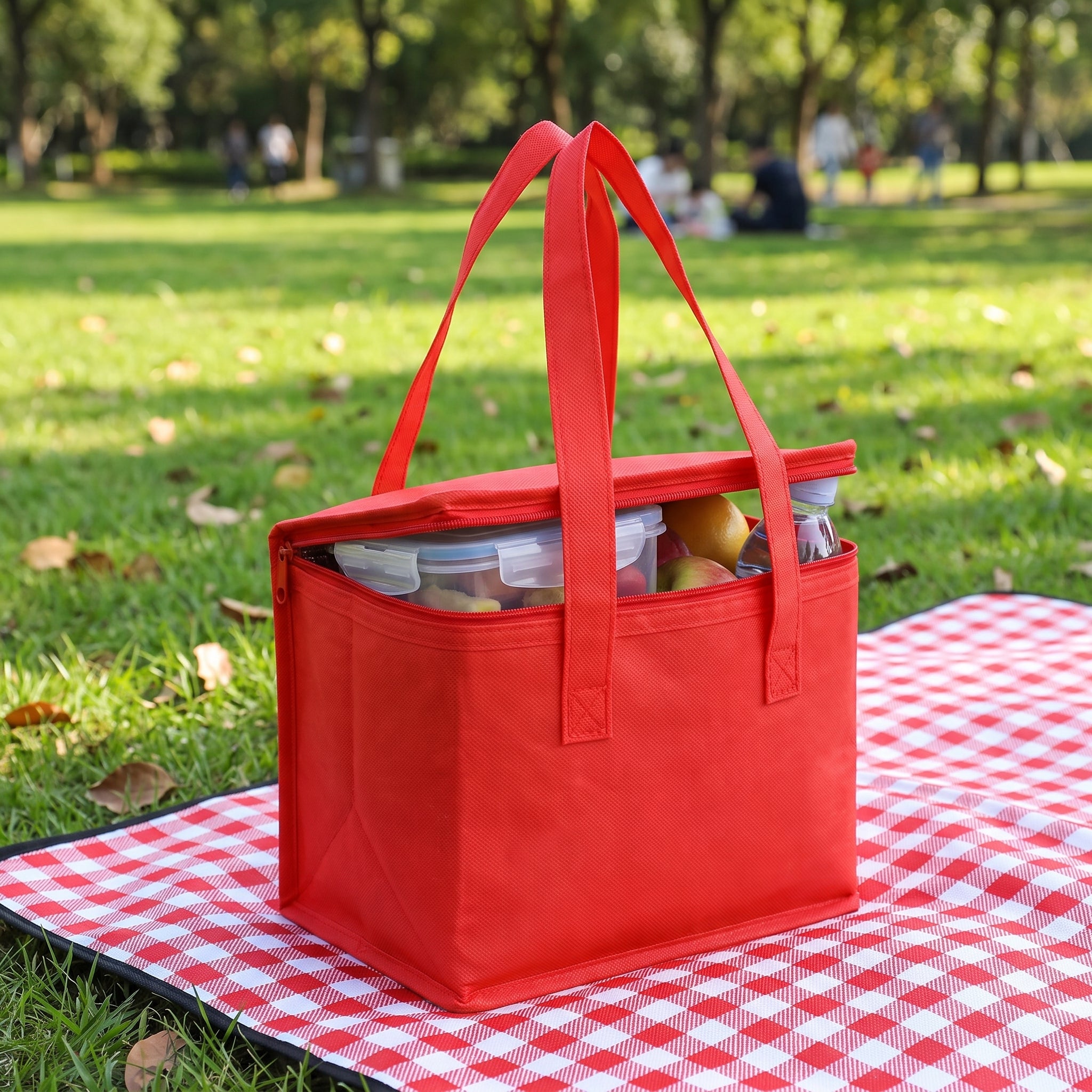 Lunch Bag Insulated Cooler Portable Food Delivery Tote - hero