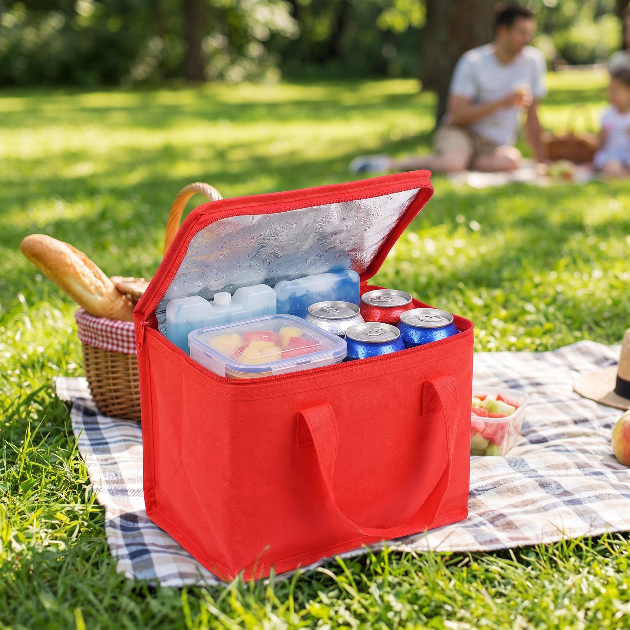 Lunch Bag Insulated Cooler Portable Food Delivery Tote - in-use