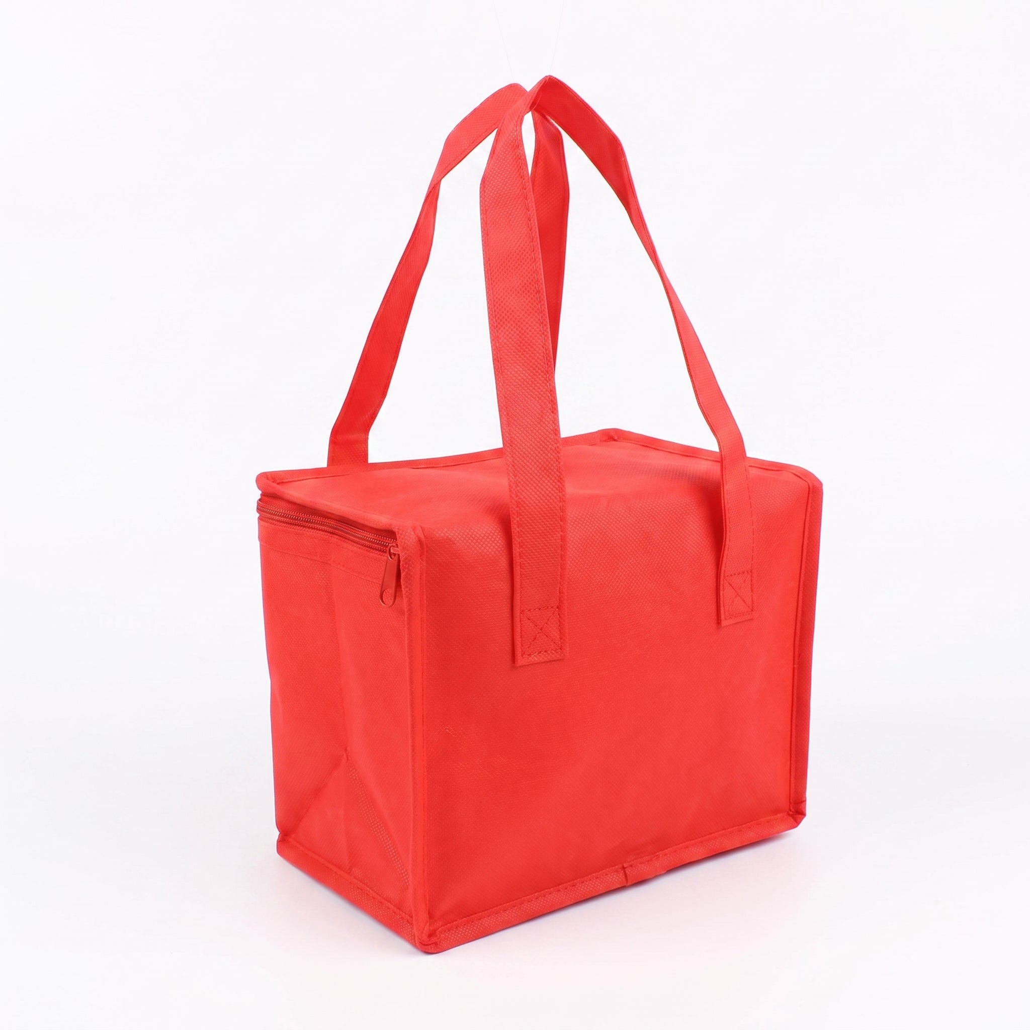 Lunch Bag Insulated Food Storage Cooler Portable Design - angle