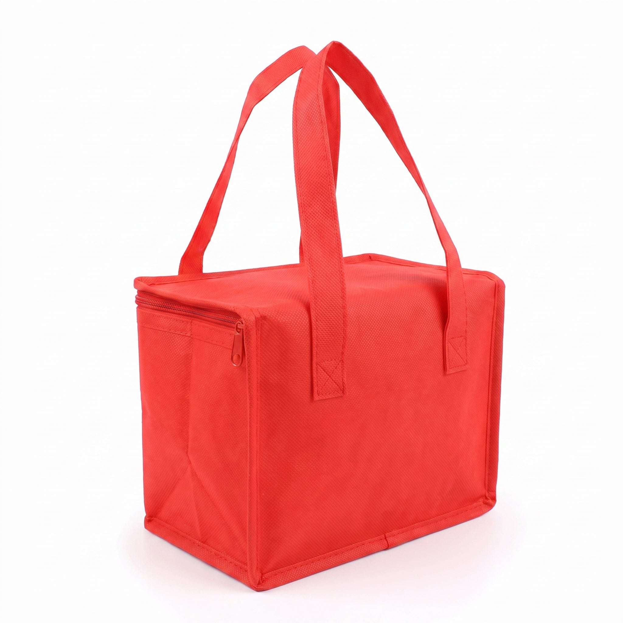 Lunch Bag Insulated Food Storage Cooler Portable Design - angle
