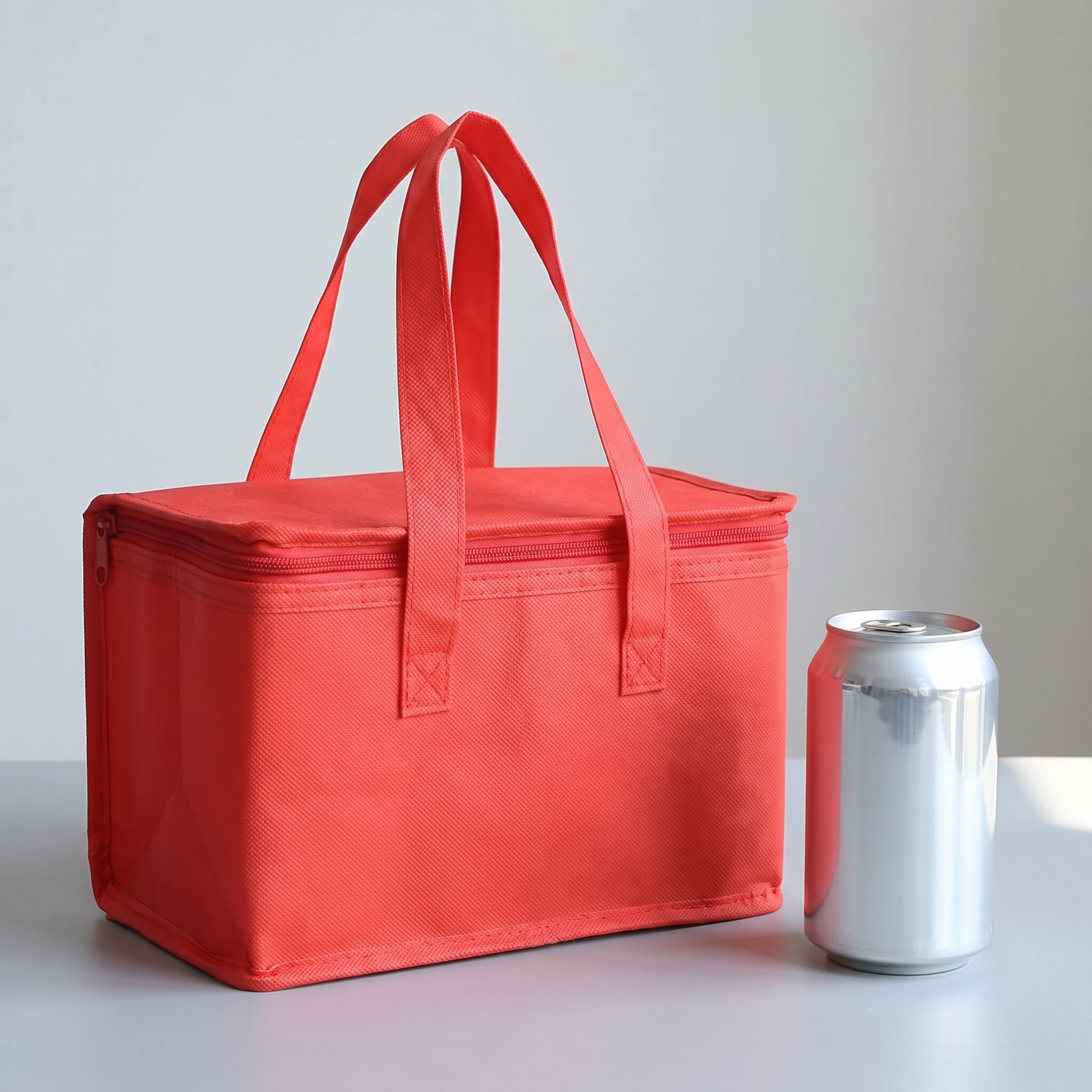 Lunch Bag Insulated Food Storage Cooler Portable Design - scale