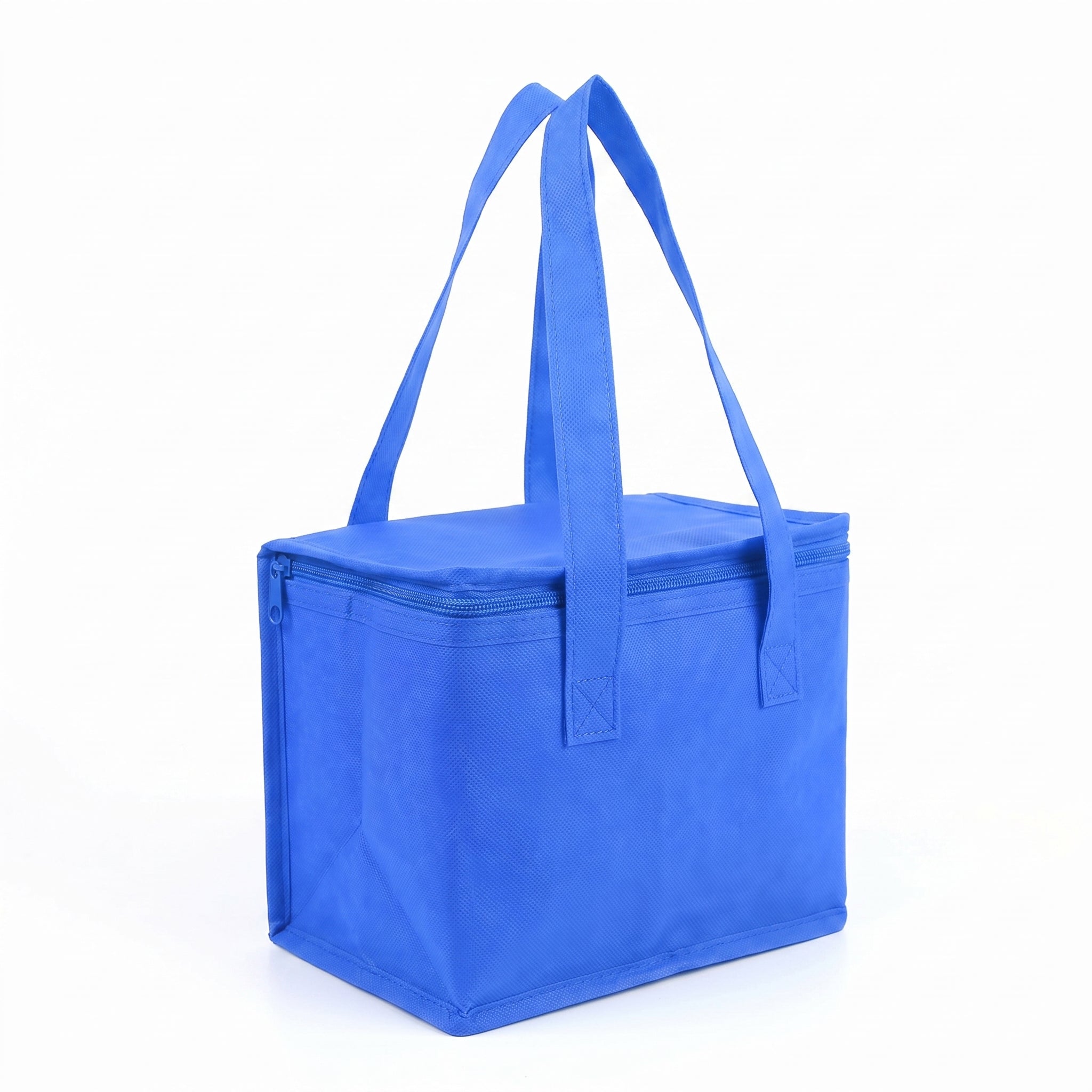 Lunch Bag Insulated Food Storage Cooler Portable Design - studio