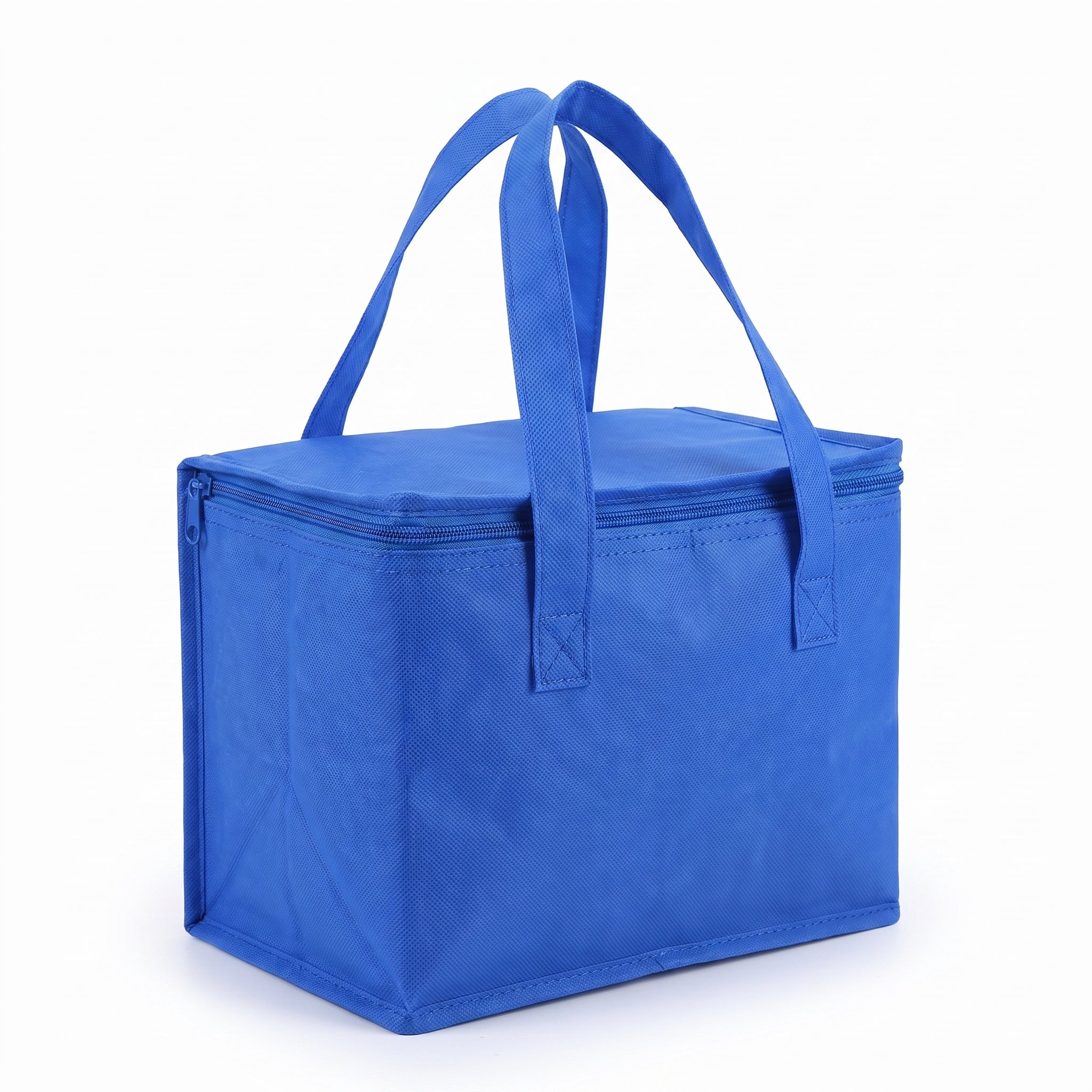 Lunch Bag Insulated Food Storage Cooler Portable Design - studio