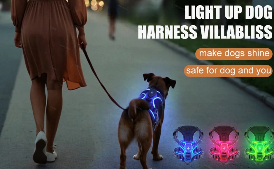 Rechargeable LED Dog Harness For Night Safety With Adjustable Breathable Mesh - Image 10
