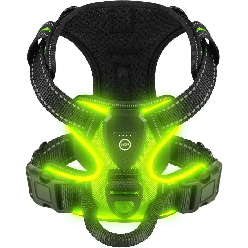 Rechargeable LED Dog Harness For Night Safety With Adjustable Breathable Mesh - Image 2