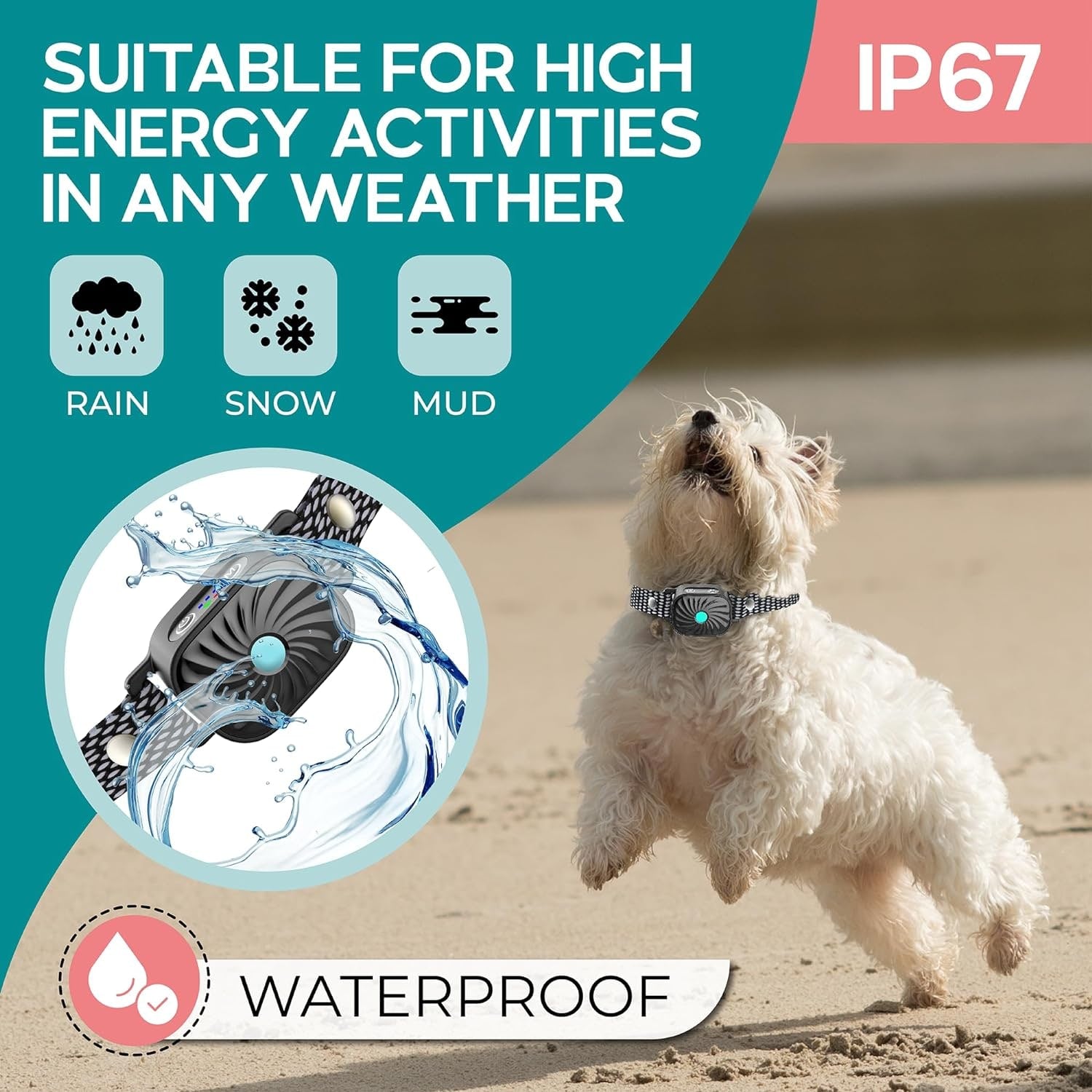 Small Dogs Dog Bark Collar Adjustable Waterproof Training Collar - Image 5